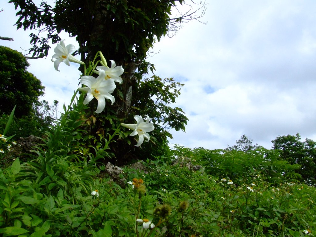 f:id:SQB:20130429181827j:image