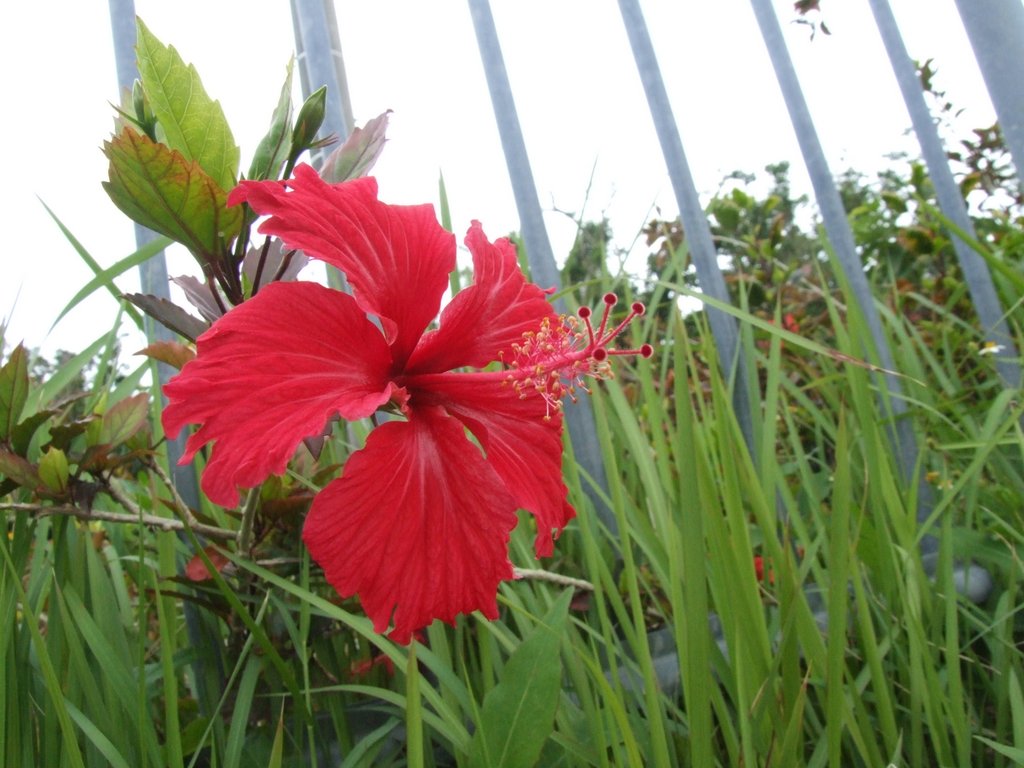 f:id:SQB:20130503172034j:image
