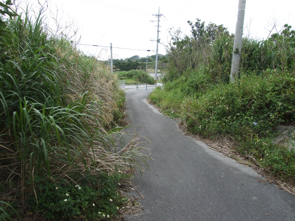 f:id:SQB:20130503172102j:image f:id:SQB:20130503172102j:image