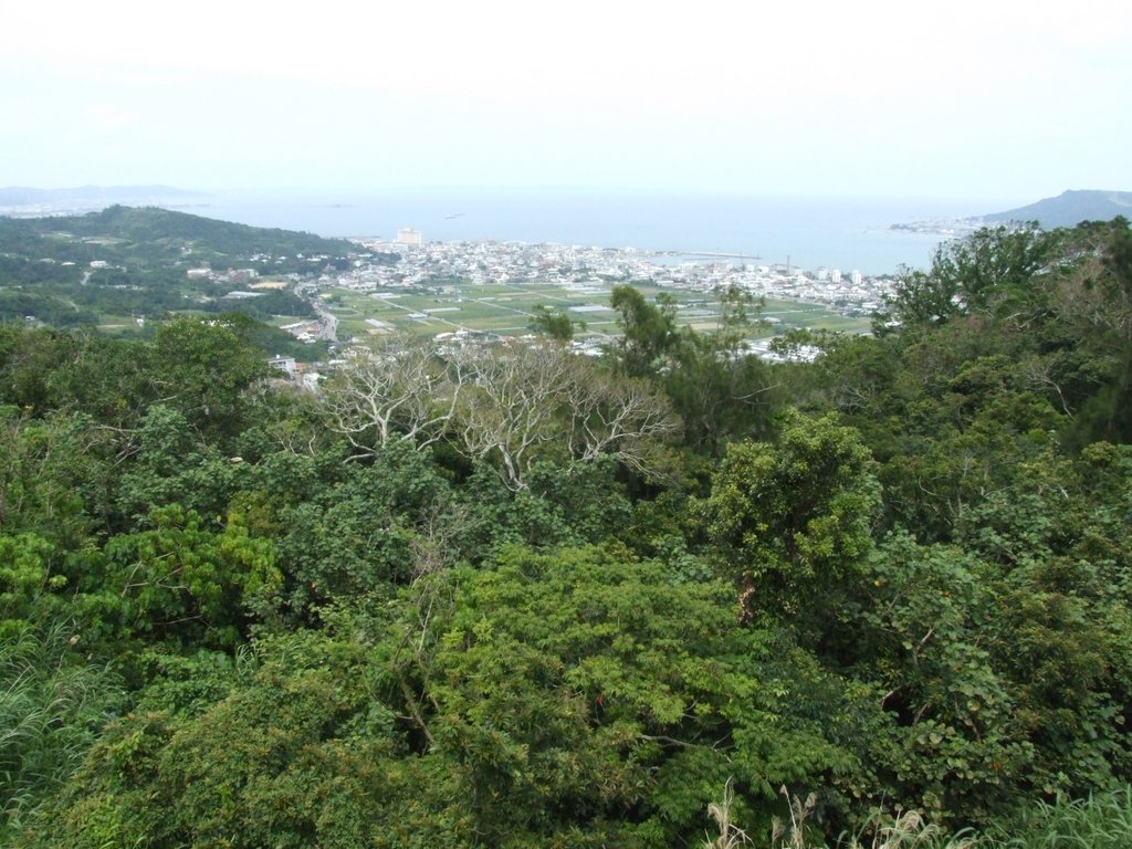 f:id:SQB:20130503172113j:image f:id:SQB:20130503172113j:image
