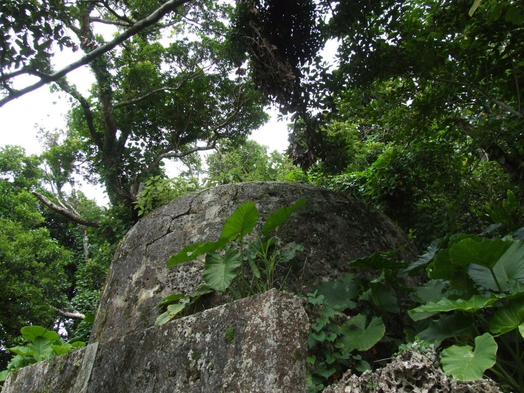 f:id:SQB:20130503181804j:image