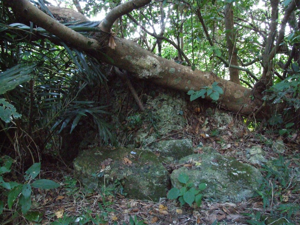 f:id:SQB:20130511180643j:image