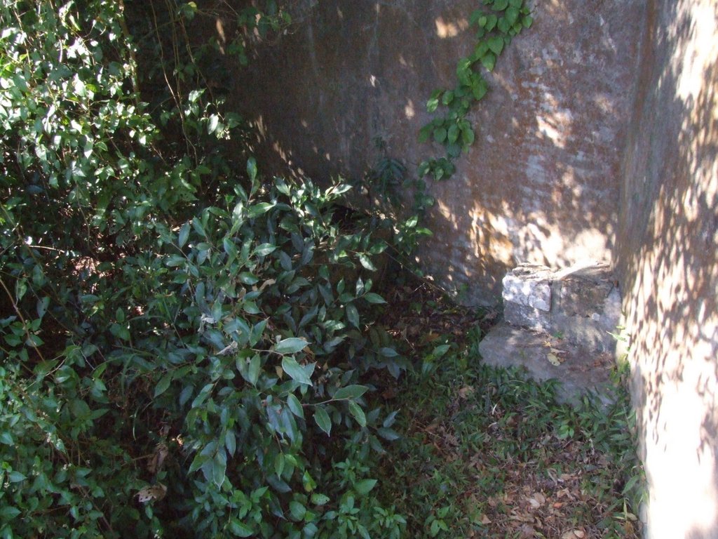 f:id:SQB:20130511201003j:image