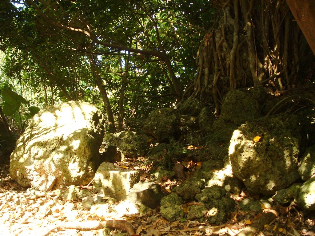 f:id:SQB:20130511203852j:image