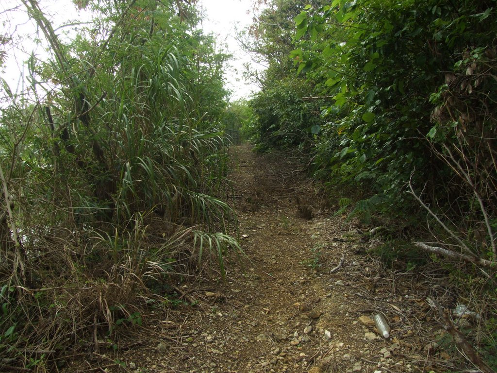 f:id:SQB:20131012182032j:image