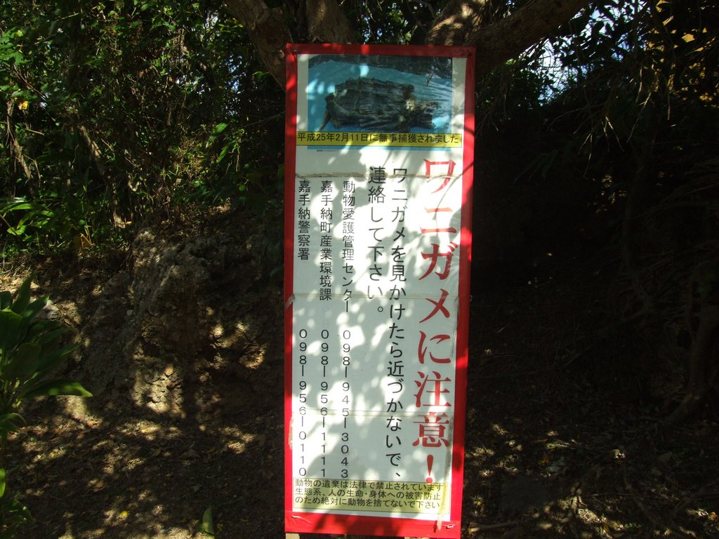 f:id:SQB:20131013172043j:image