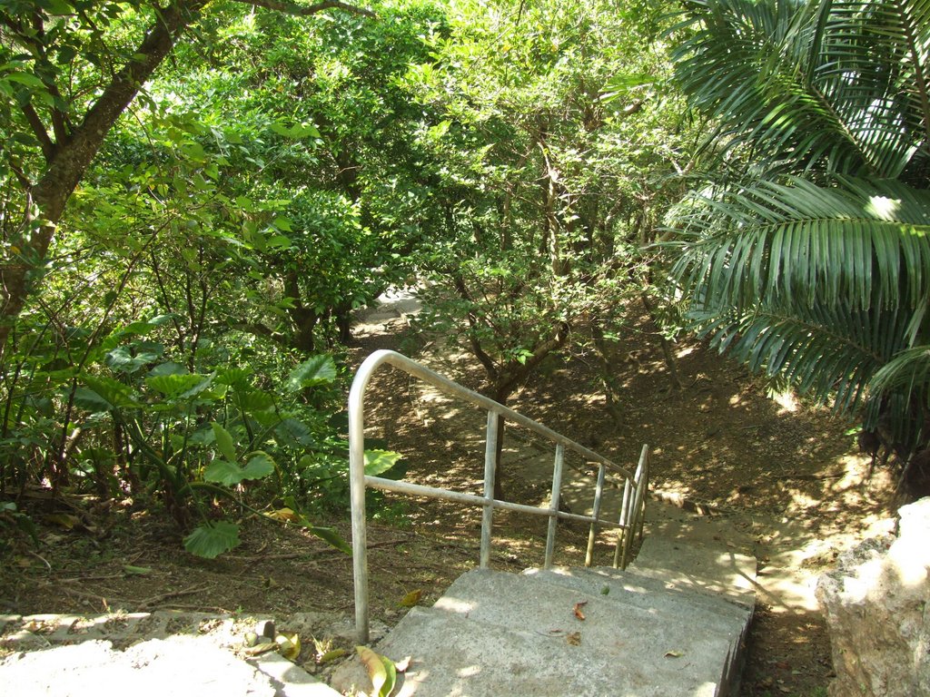 f:id:SQB:20131013172045j:image