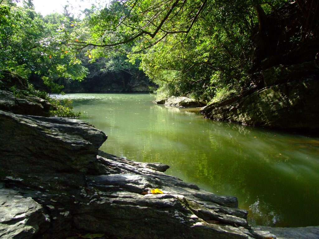 f:id:SQB:20131013172056j:image