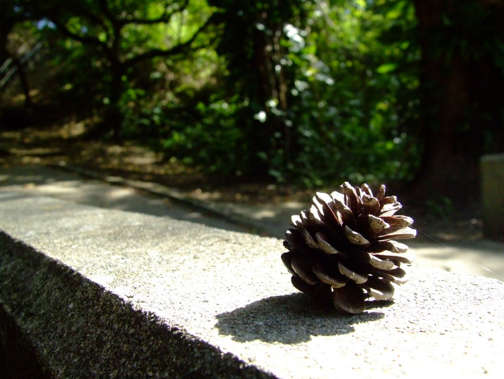 f:id:SQB:20131013172102j:image