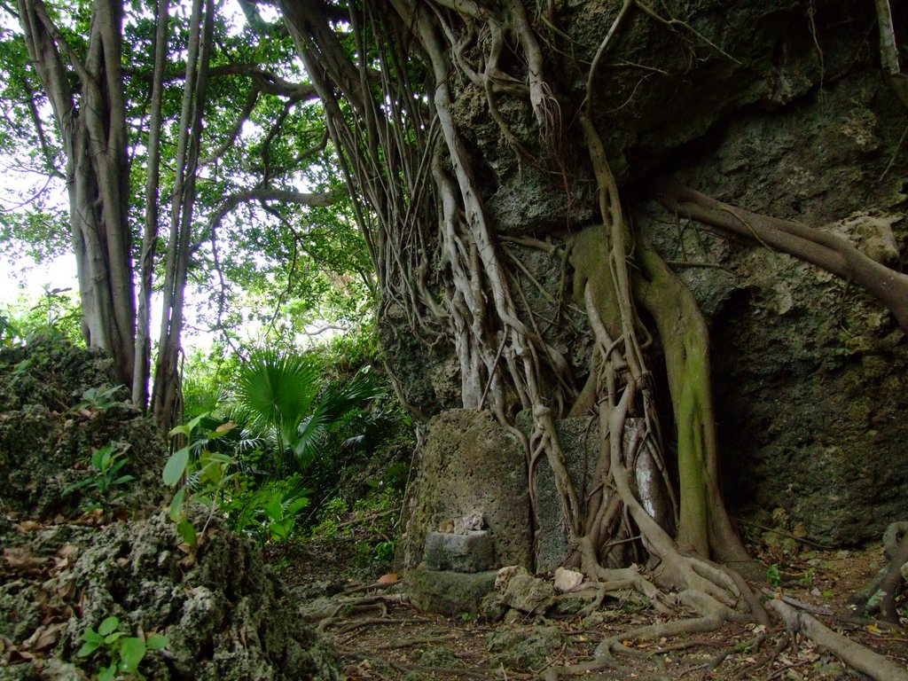 f:id:SQB:20131027174640j:image