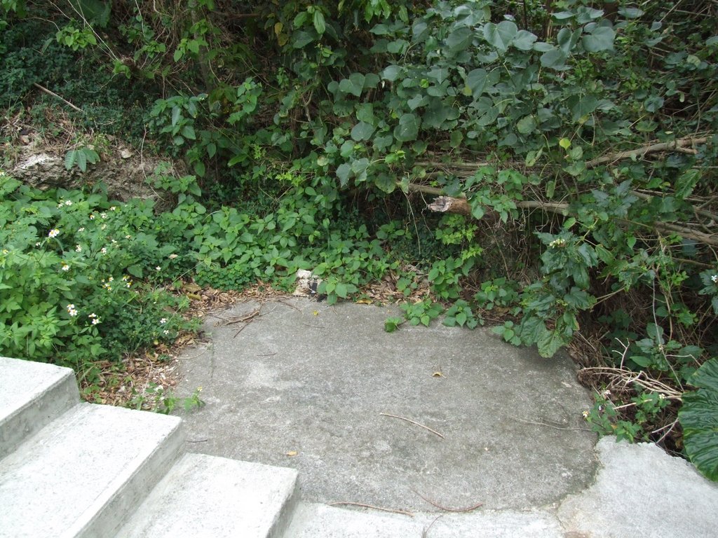 f:id:SQB:20131027200921j:image