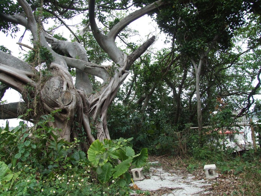 f:id:SQB:20131027200927j:image