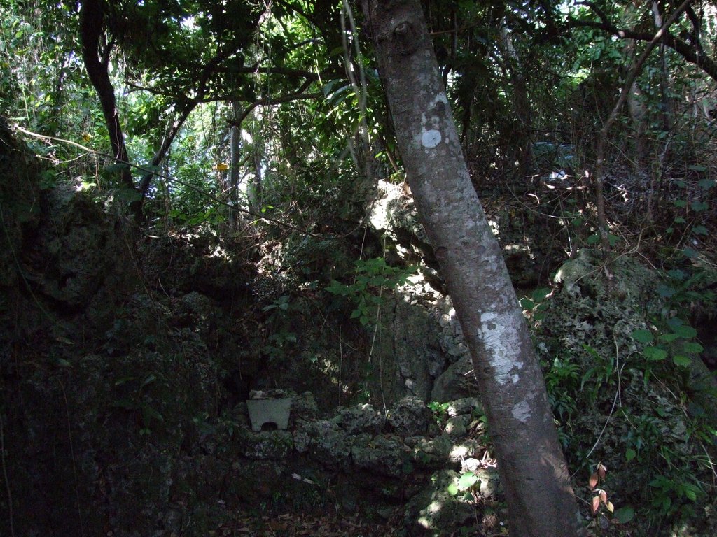 f:id:SQB:20131109205439j:image