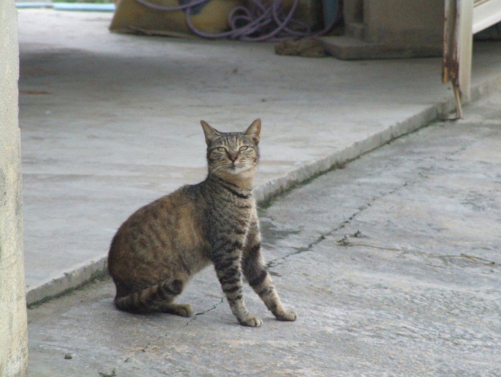 f:id:SQB:20131116182752j:image