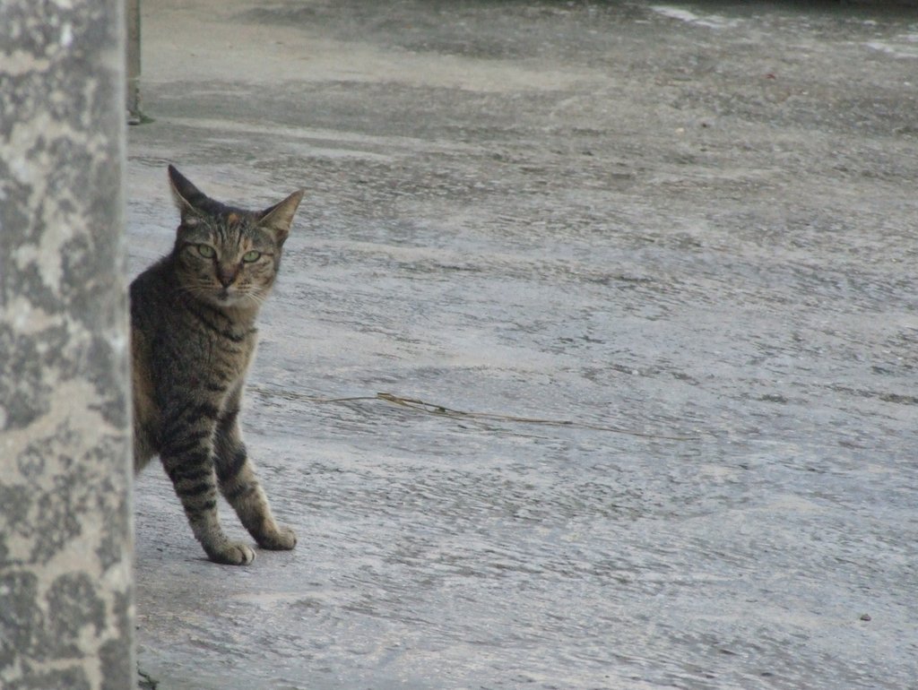 f:id:SQB:20131116182755j:image