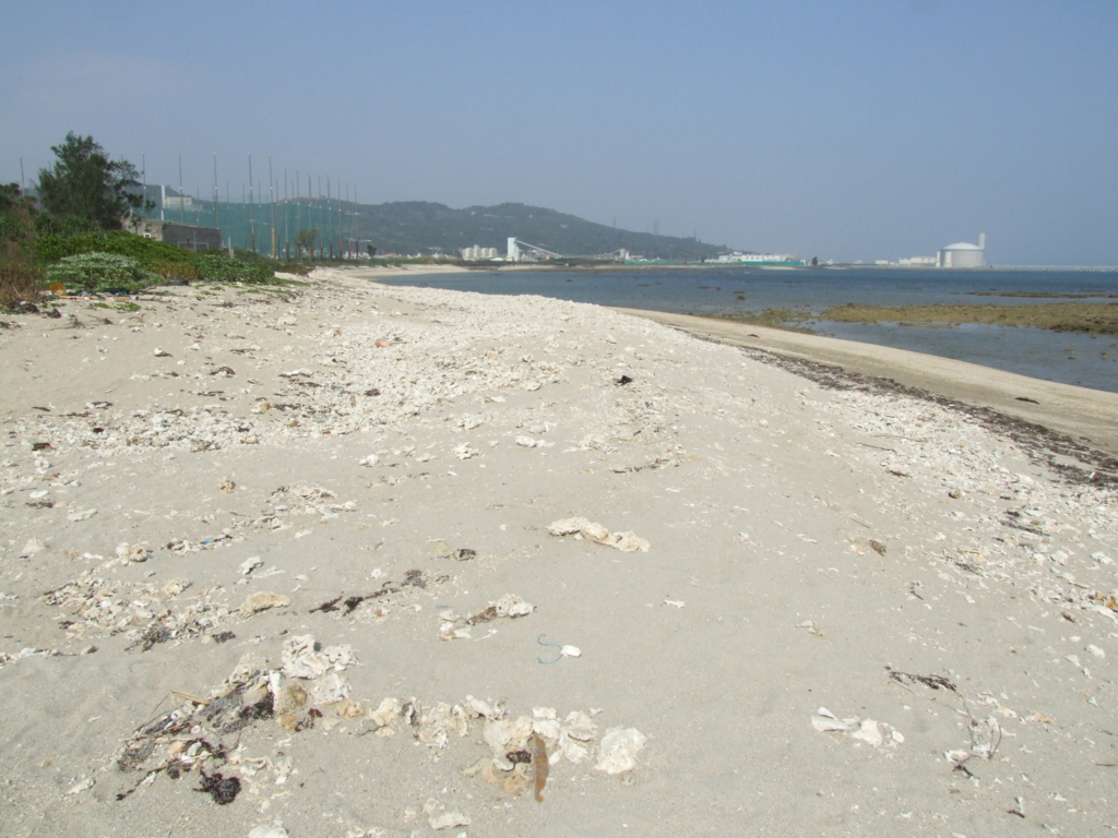 f:id:SQB:20131117212846j:image f:id:SQB:20131117212846j:image