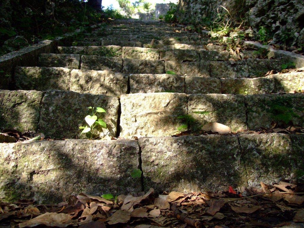 f:id:SQB:20131123175227j:image f:id:SQB:20131123175227j:image