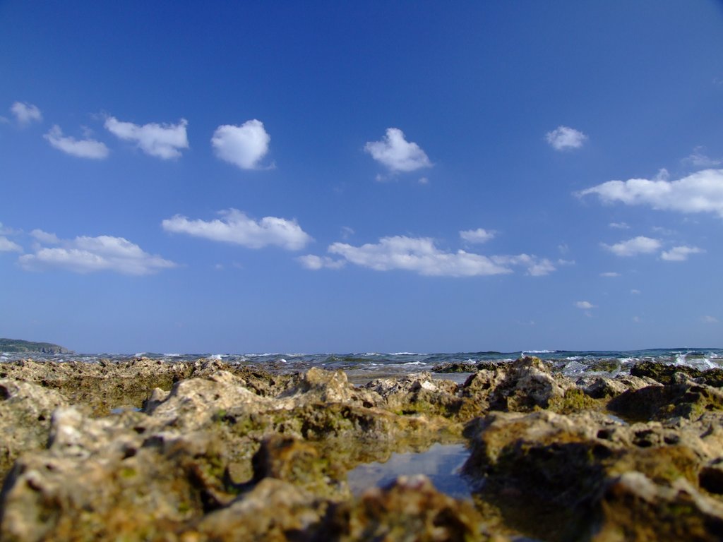 f:id:SQB:20131201171122j:image