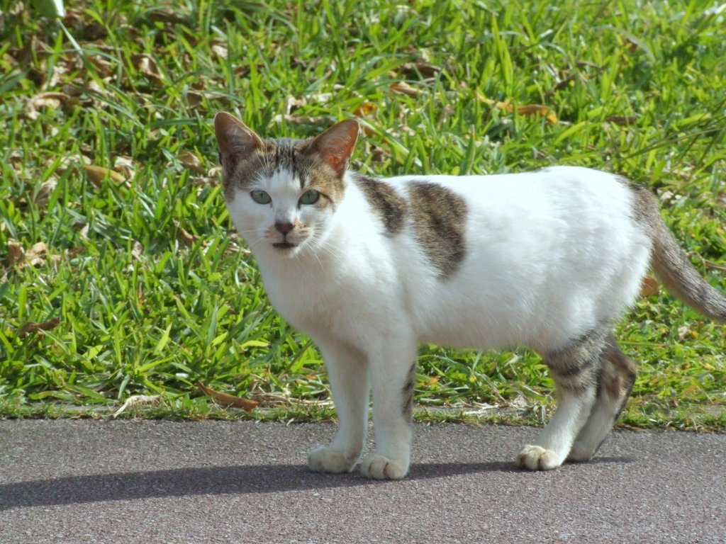 f:id:SQB:20131228164617j:image