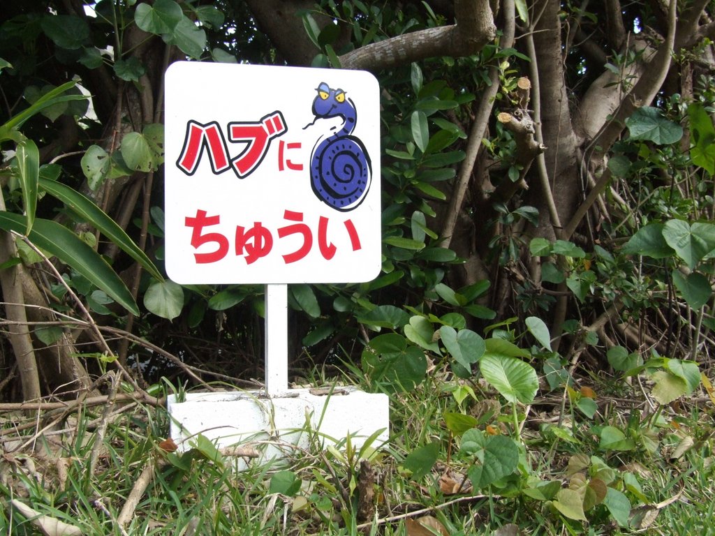 f:id:SQB:20131228164621j:image