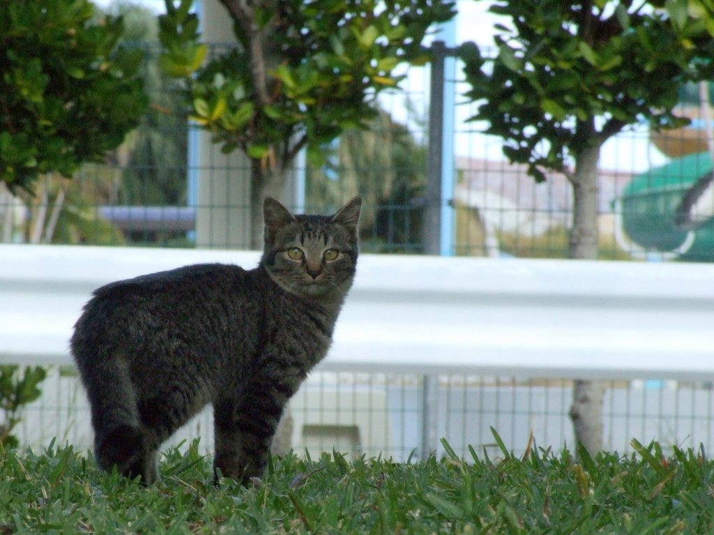 f:id:SQB:20131228164623j:image