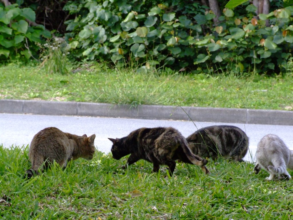 f:id:SQB:20131228164702j:image