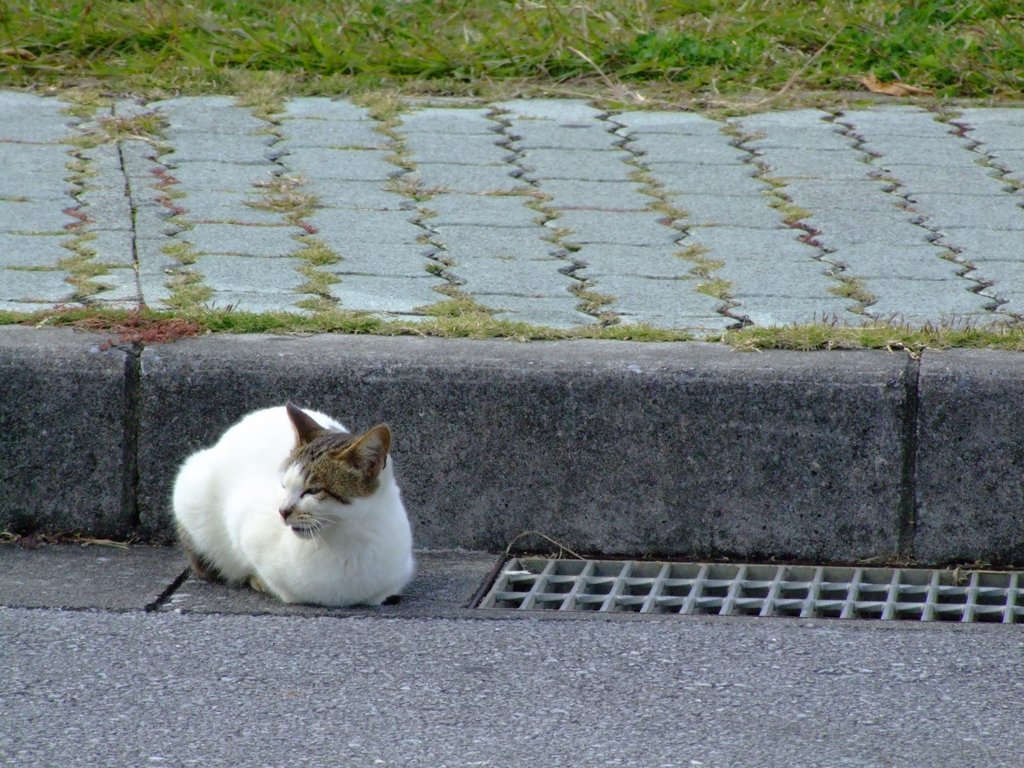 f:id:SQB:20131228164711j:image
