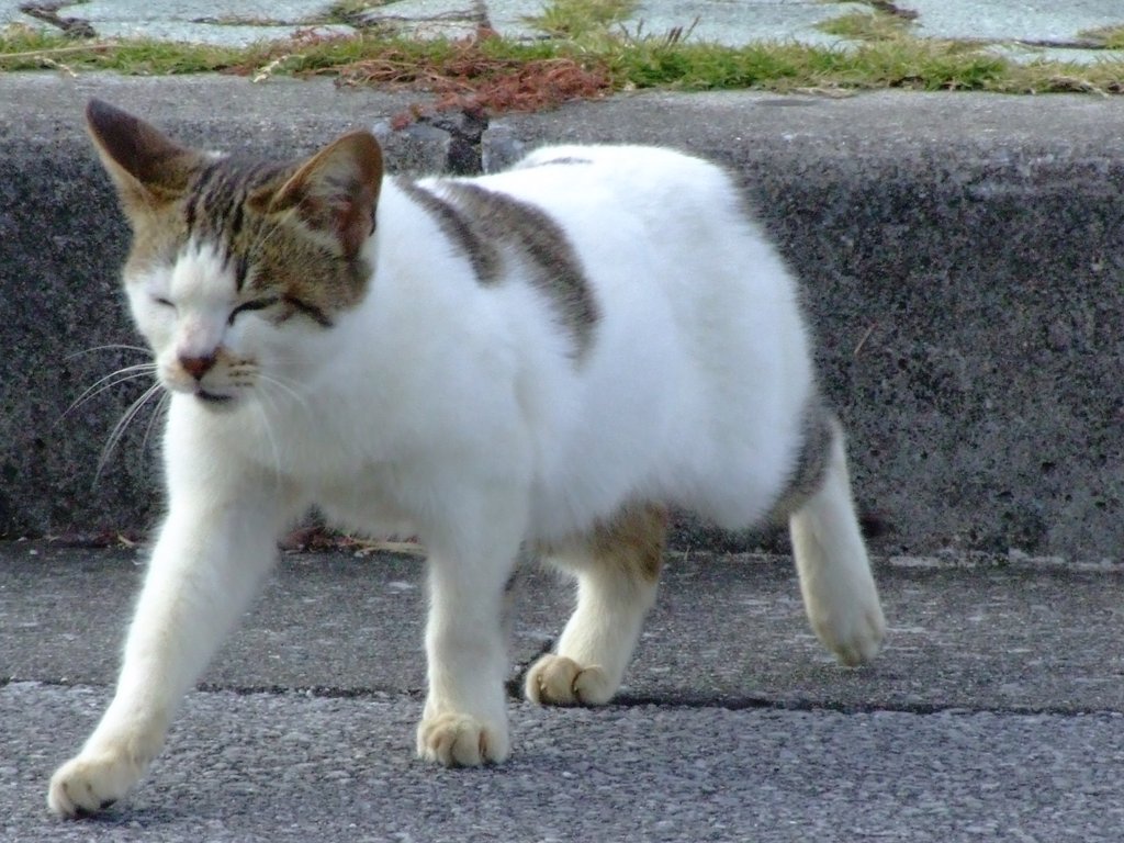 f:id:SQB:20131228164715j:image