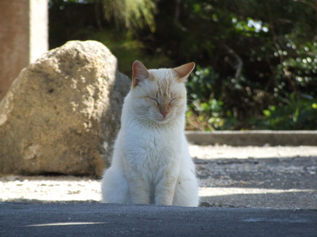 f:id:SQB:20140102181719j:image