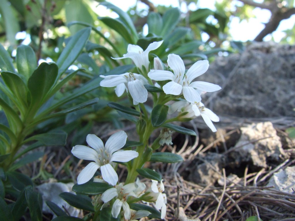 f:id:SQB:20140102181727j:image
