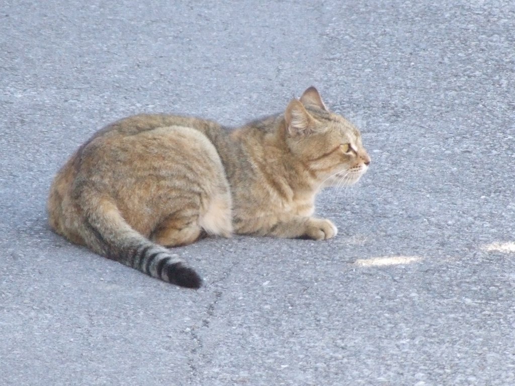 f:id:SQB:20140125180722j:image