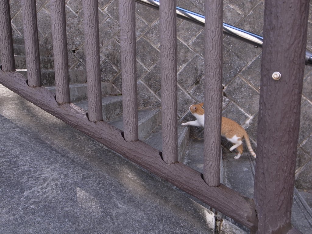 f:id:SQB:20140220192627j:image