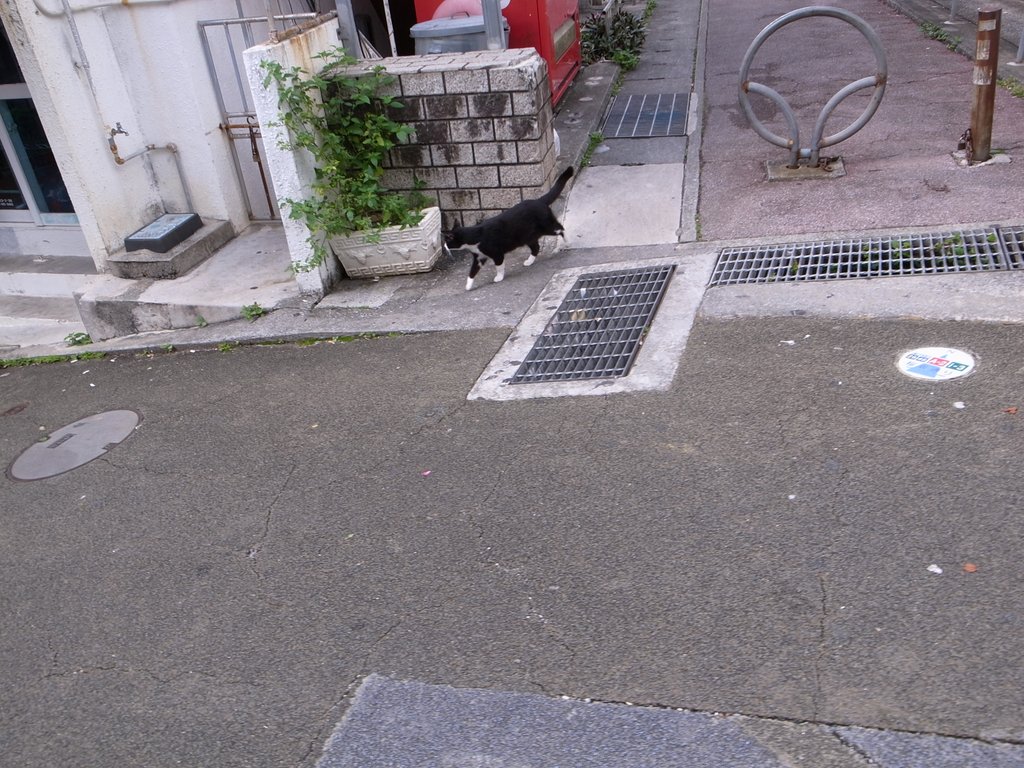 f:id:SQB:20140220192638j:image