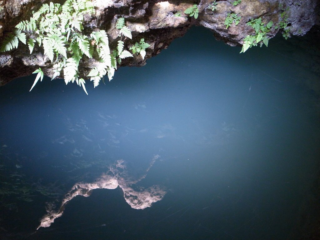 f:id:SQB:20140301180125j:image
