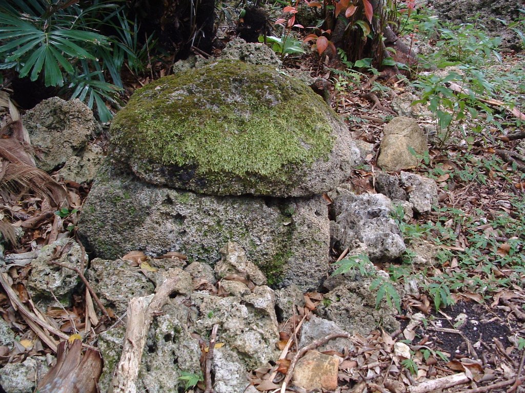 f:id:SQB:20140302181256j:image