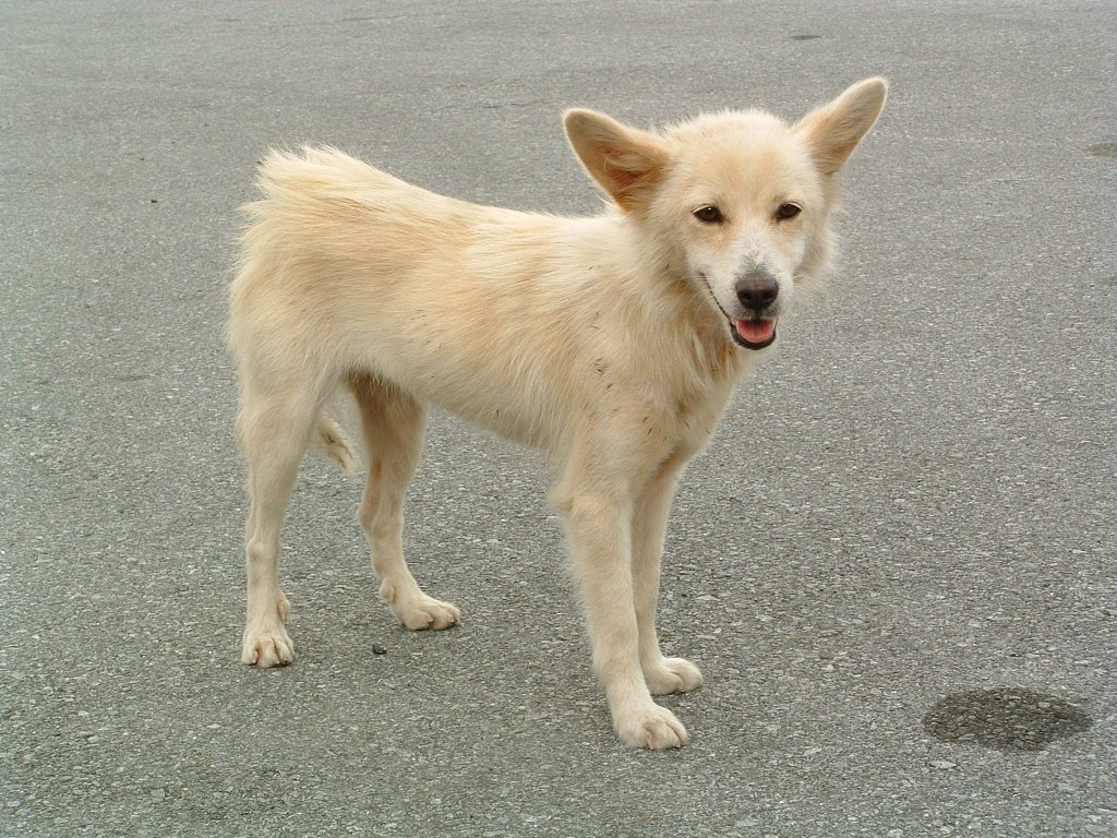 f:id:SQB:20140302181959j:image