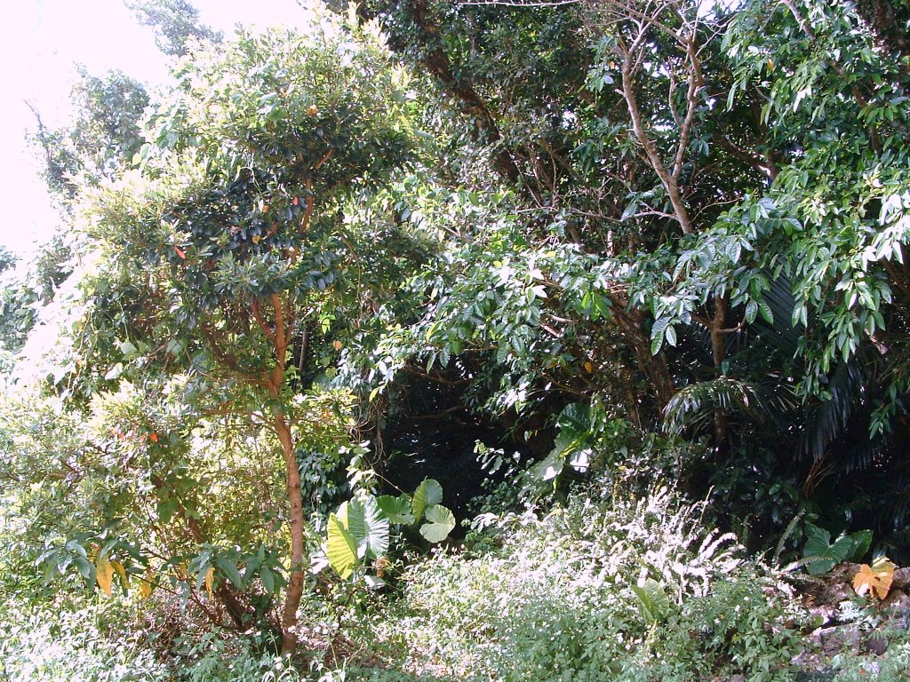 f:id:SQB:20140302192726j:image