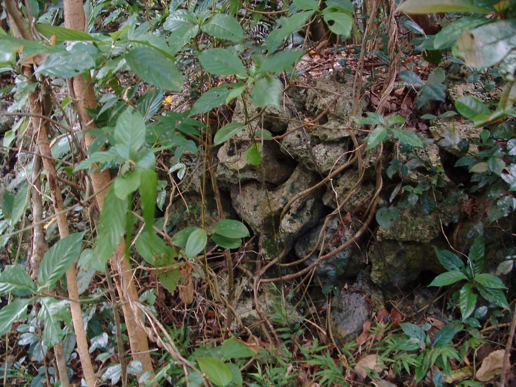 f:id:SQB:20140302192746j:image