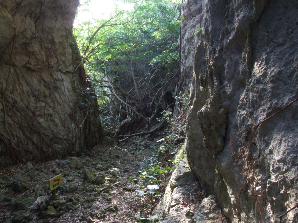 f:id:SQB:20140302194629j:image