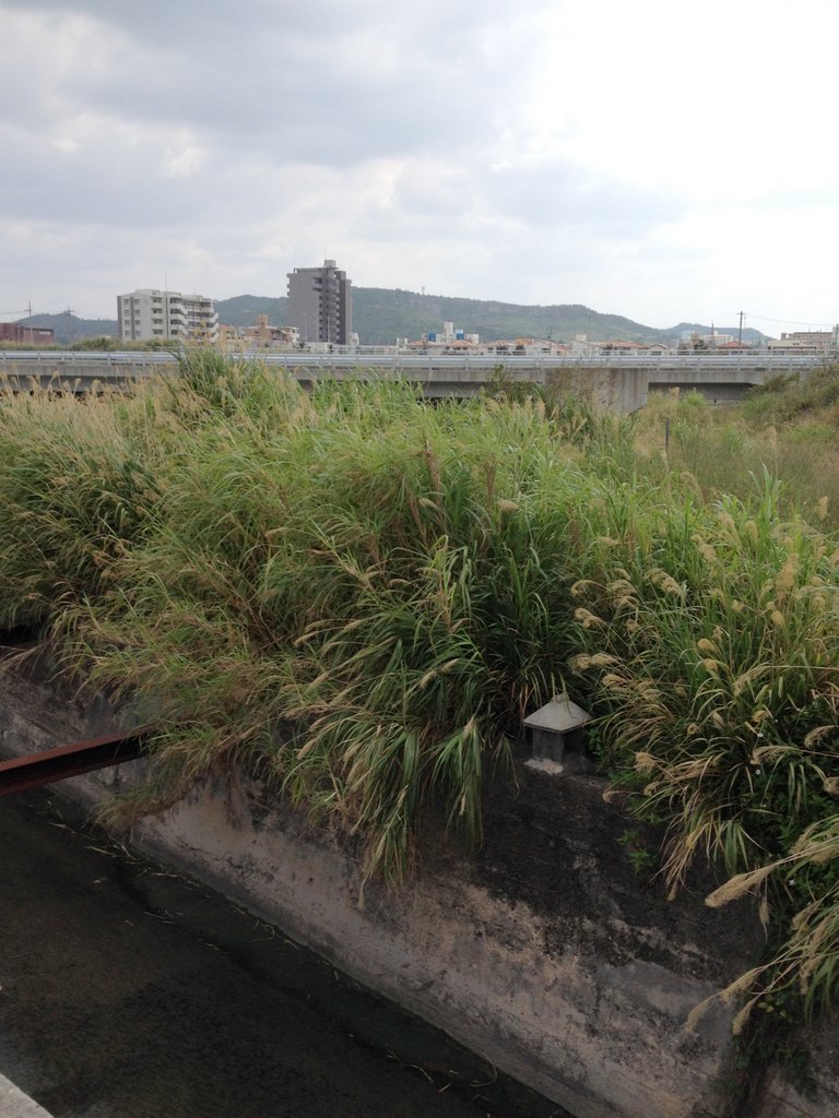 f:id:SQB:20140321182123j:image