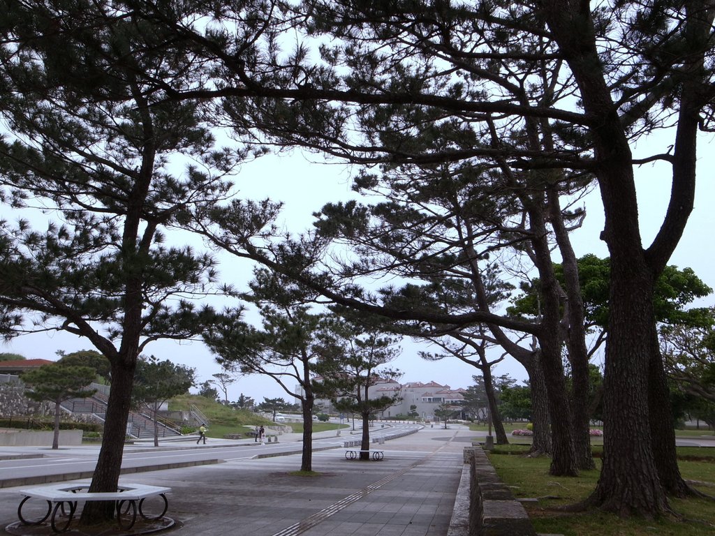 f:id:SQB:20140330182200j:image