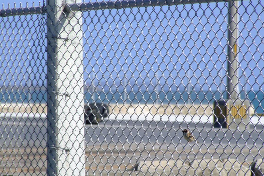 f:id:SQB:20140406190706j:image