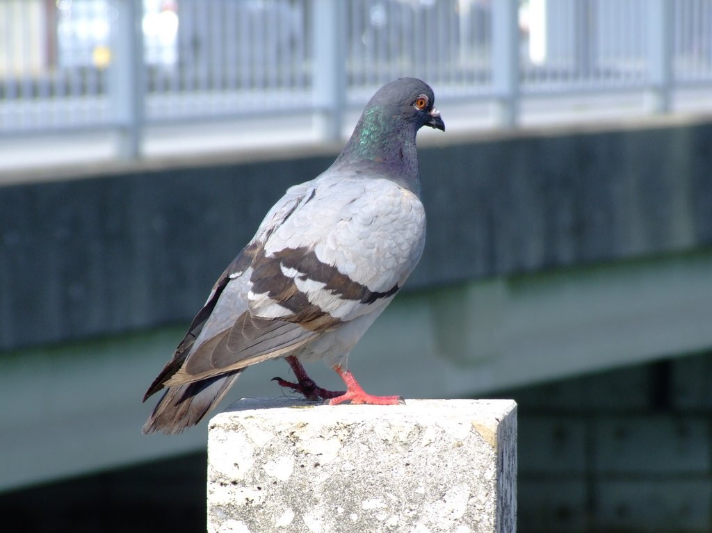 f:id:SQB:20140412200120j:image