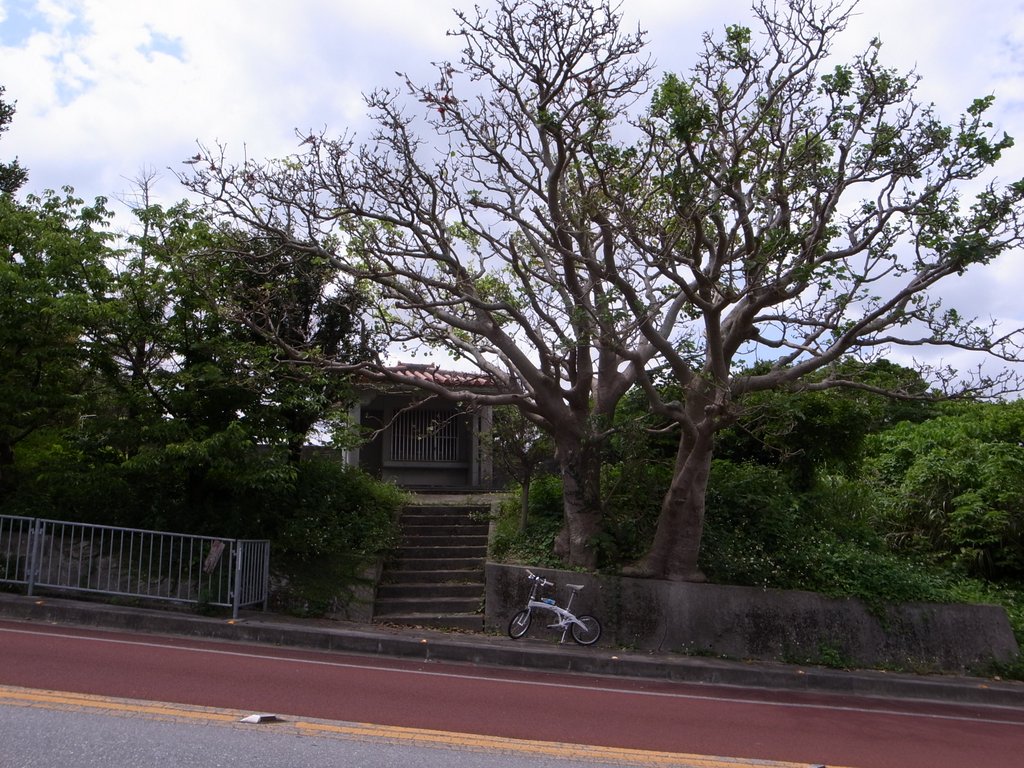 f:id:SQB:20140429174646j:image