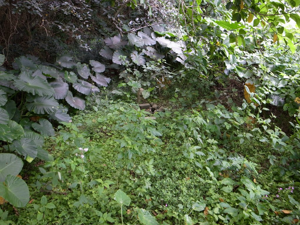 f:id:SQB:20140429174649j:image