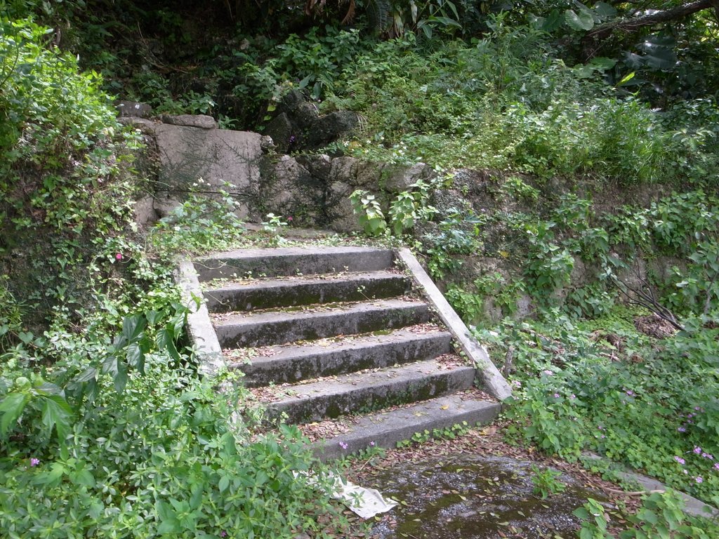 f:id:SQB:20140429174704j:image