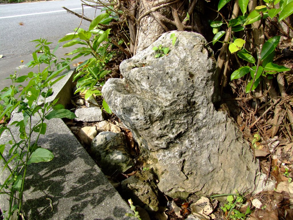 f:id:SQB:20140517201044j:image f:id:SQB:20140517201044j:image