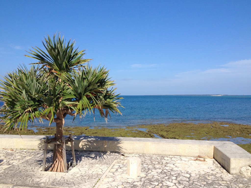 f:id:SQB:20140521203552j:image