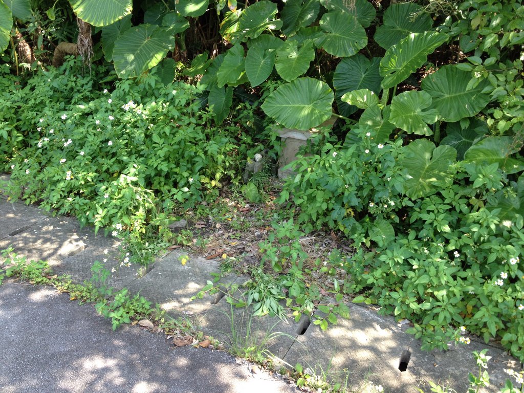 f:id:SQB:20140524175013j:image