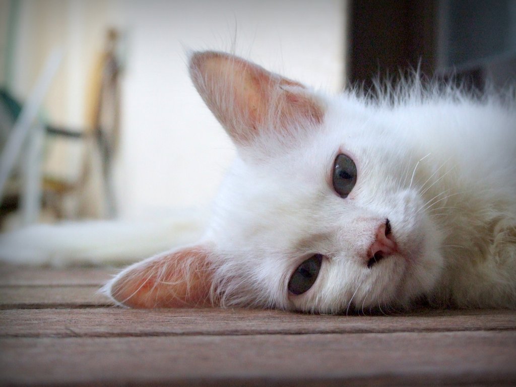 f:id:SQB:20140820192141j:image